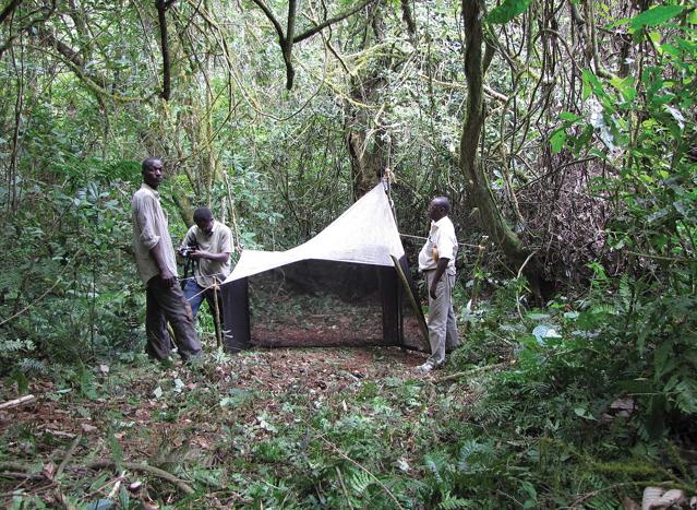 Bururi Forest Nature Reserve